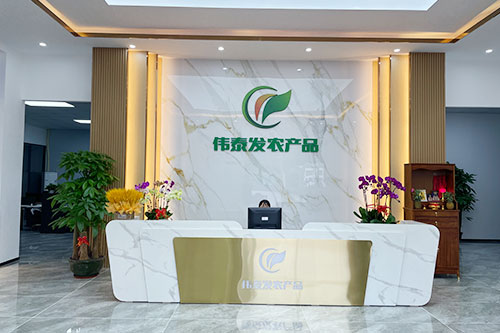 前臺-偉泰發(fā)企業(yè)風(fēng)采